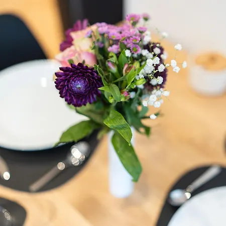 Hozo1-exklusiv Der Roze Living Appartement